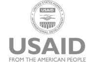 usaid gray icon